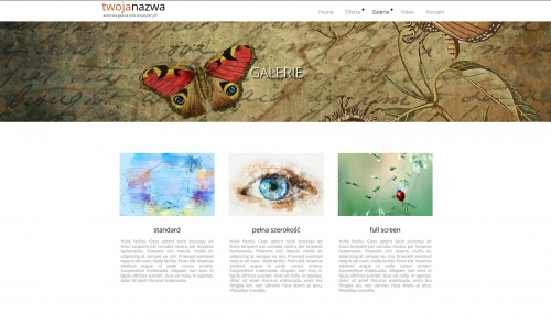 gotowa galeria internetowa, przykłady szablonów, przykłady galerii